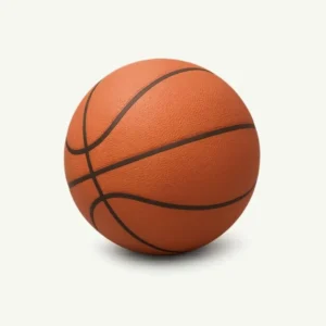 Official Size Basketball
